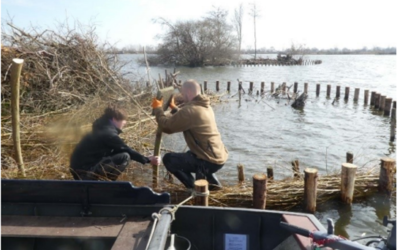 Herstel eilanden plas Ravensberg door burgerparticipatie