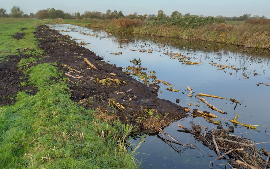Oeverherstel: de ‘Sluipwijkse’ methode