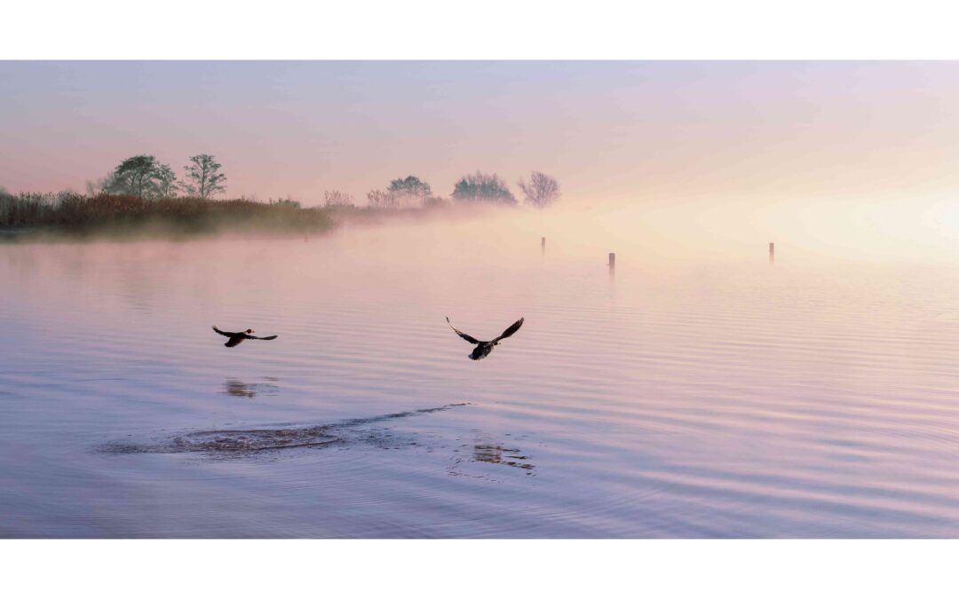 En de winnaars van de fotowedstrijd ‘Leven met water’ zijn….