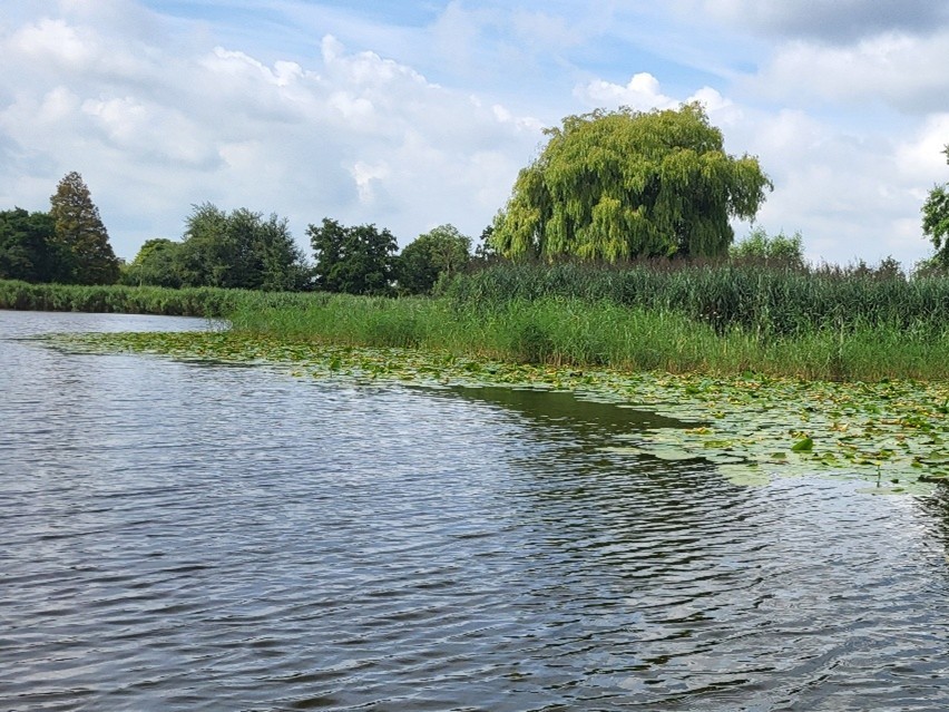HHR NVO foto1 – Gravekoop 3op4